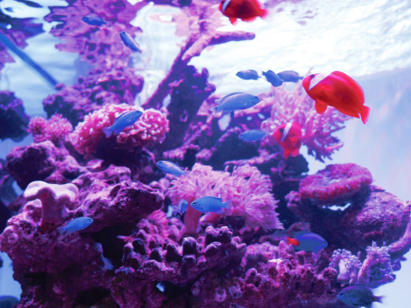 ユウ・アクアライフ|事業案内