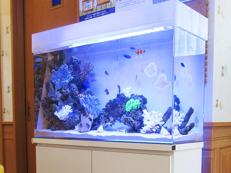 Natural-Style(ナチュラルースタイル)シリーズ