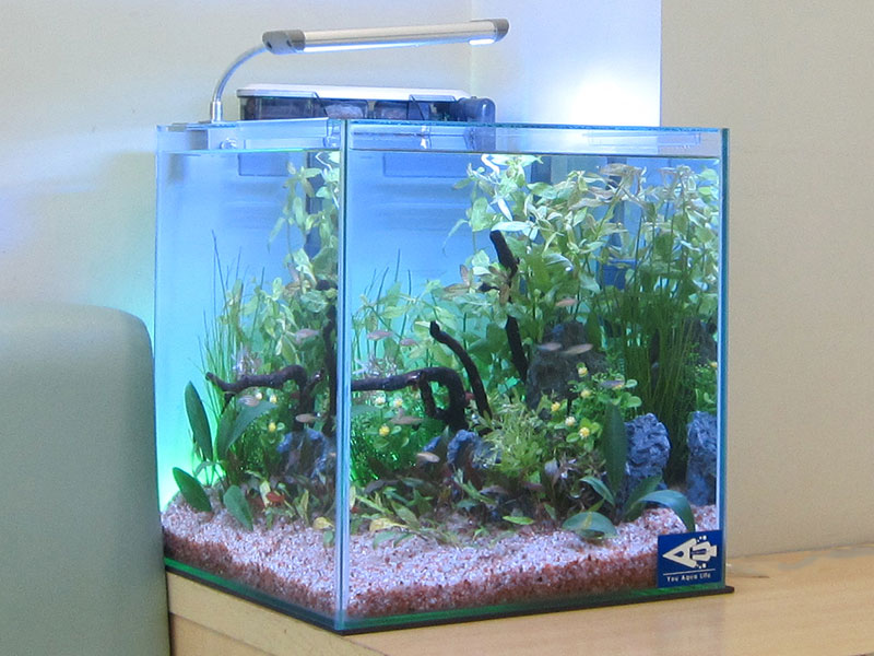 Y-Style(ワイースタイル)シリーズ