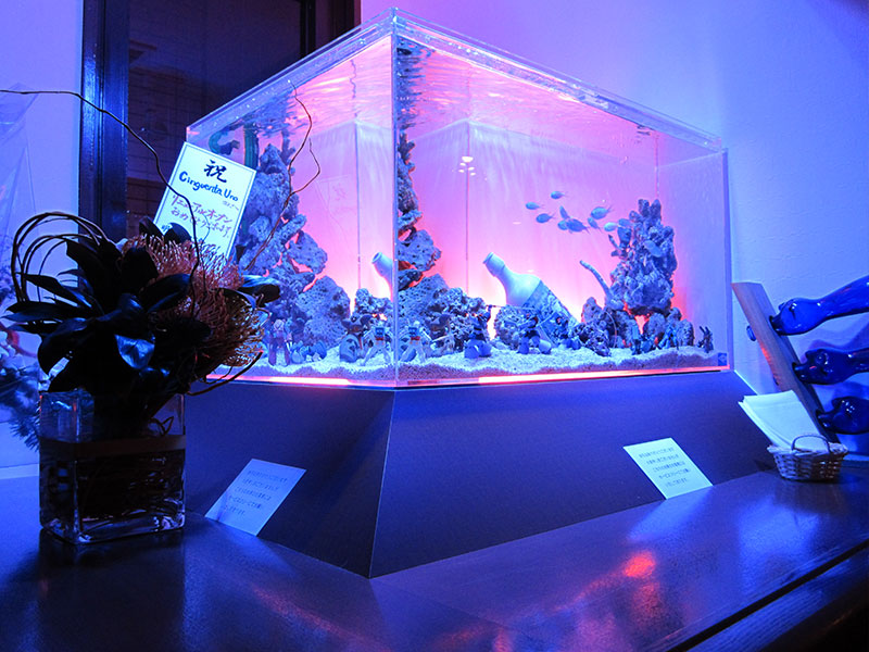 Y-Style(ワイースタイル)シリーズ