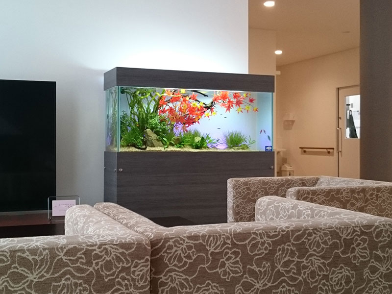 いま、なぜアクアアリウムなのか