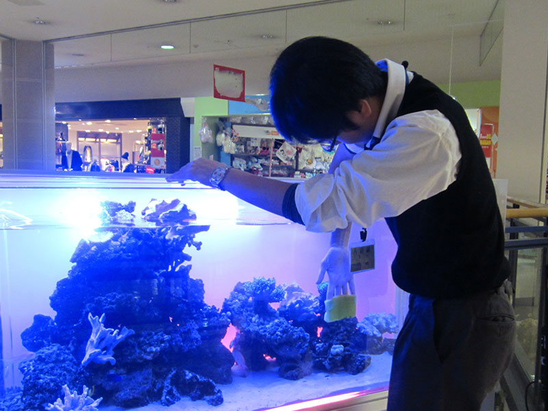 4. メンテナンス