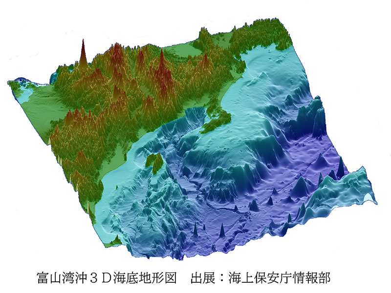 富山湾アクアリウム